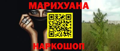 mdpv Лесосибирск